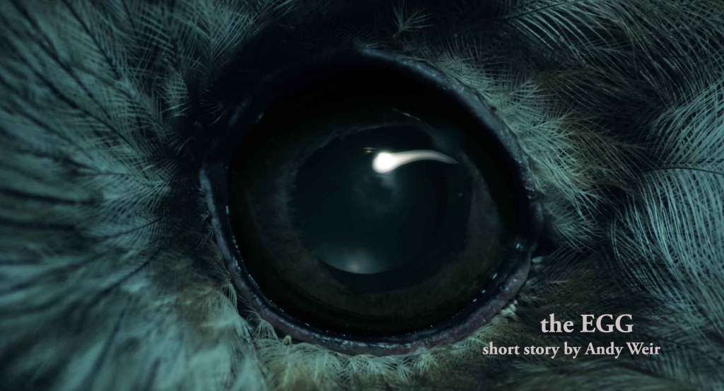 the egg